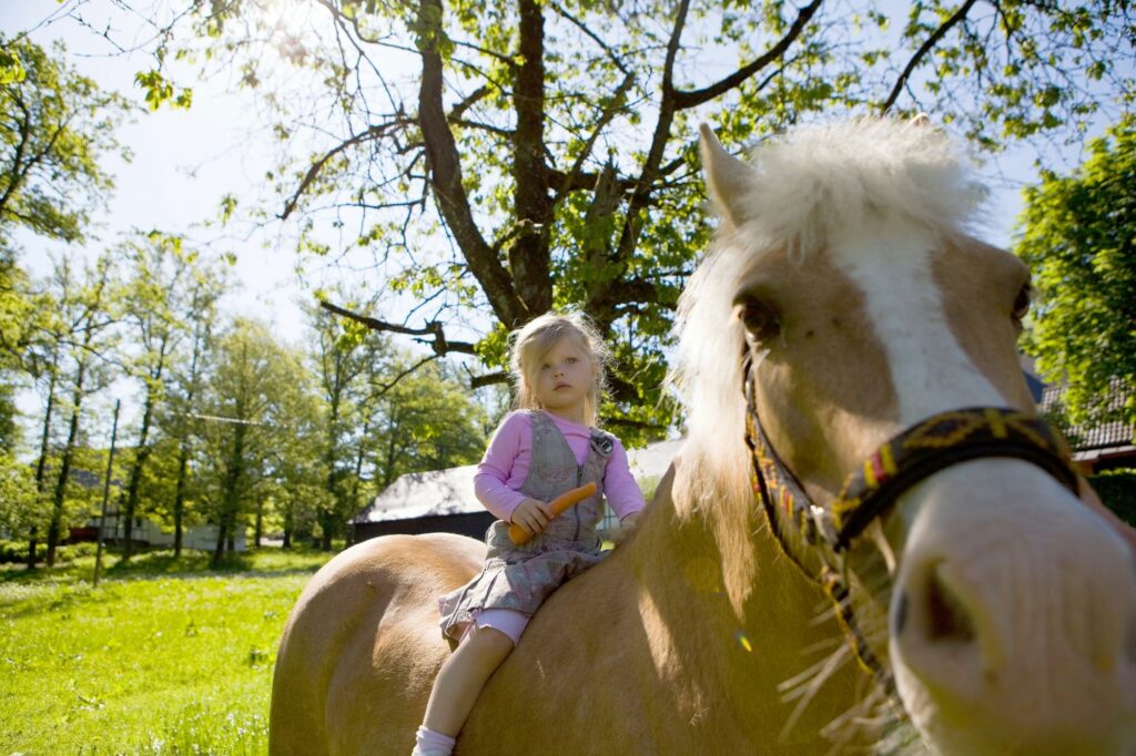 Mädchen auf einem Pferd (Foto: Tanja Ewers, Sauerland-Tourismus e.V.)