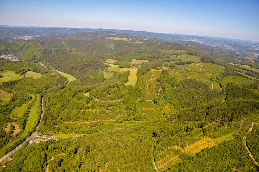 CO2-Killer Wald. Im Märkischen Kreis gibt es 56.0000 Hektar davon. Foto: Guido Raith/Märkischer Kreis