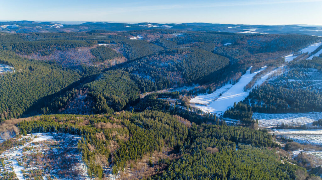 Die nächste Waldgeneration wächst schon  Forstbetrieb Schmallenberg hat die Weichen für die Zukunft gestellt/22.000 Tonnen Co2 werden jährlich zusätzlich gespeichert
