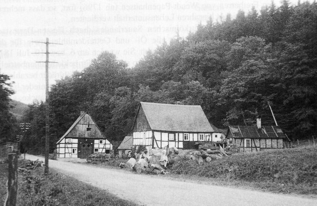 Die Mühle an ihrem alten Standort zwischen Gevelinghausen und Ostwig (privat)