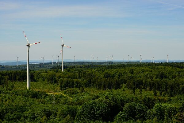 Windenergieanlagen im Wald schaden der Biodiversität und zerstören Ökosysteme