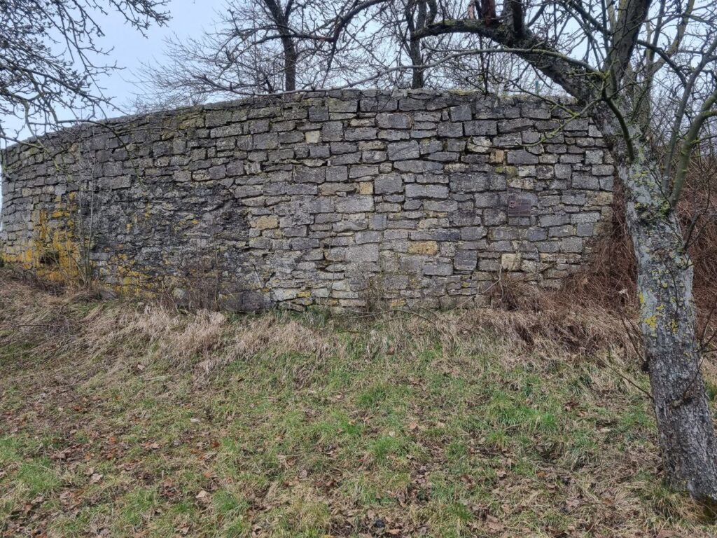 Reste der Belecker Stadtmauer oberhalb von Stütings Mühle - starb hier am 17. Mai 1448, der Belecker Bürgermeister Wilke?